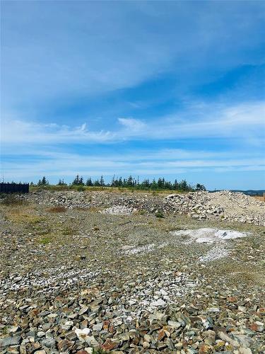 19 Flora Drive, Torbay, NL 