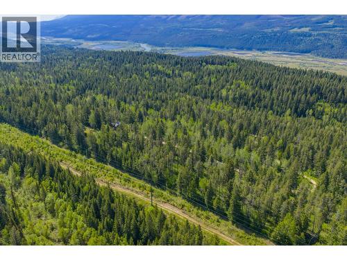 1615 Campbell Road, Golden, BC - Outdoor With View