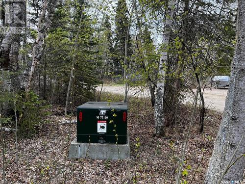 131 Jean Bay, Lakeland Rm No. 521, SK 