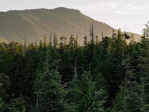 Lot 11 Hawkes Rd, Ucluelet, BC 