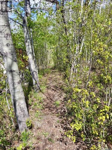 1 Lakeshore Place, Echo Bay, SK - Outdoor