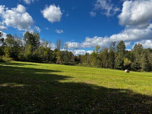 Terre/Terrain - Rg St-Hyacinthe, Mirabel, QC 