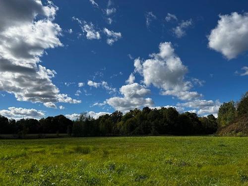 Terre/Terrain - Rg St-Hyacinthe, Mirabel, QC 
