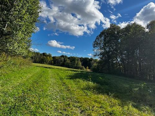 Terre/Terrain - Rg St-Hyacinthe, Mirabel, QC 