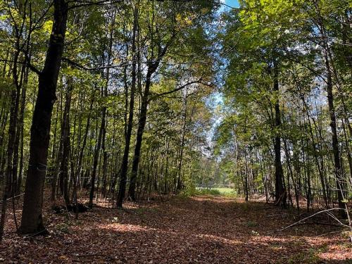 Terre/Terrain - Rg St-Hyacinthe, Mirabel, QC 