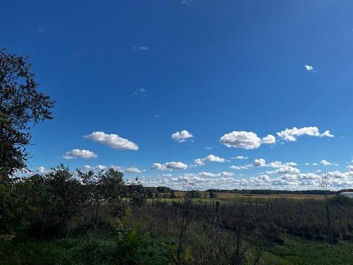 Terre/Terrain - Rg St-Hyacinthe, Mirabel, QC 