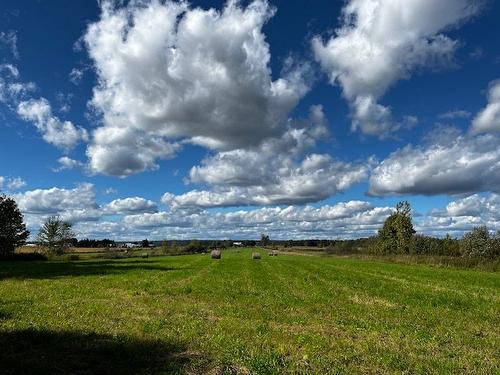 Terre/Terrain - Rg St-Hyacinthe, Mirabel, QC 