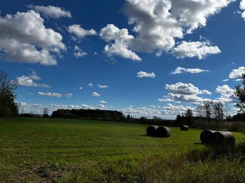 Terre/Terrain - Rg St-Hyacinthe, Mirabel, QC 