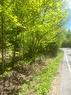Terre/Terrain - Ch. Du Lac-Blanc, Saint-Donat, QC 