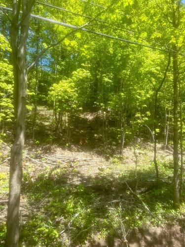 Terre/Terrain - Ch. Du Lac-Blanc, Saint-Donat, QC 