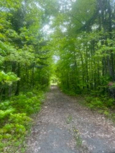 Accès au plan d'eau - Ch. Du Lac-Blanc, Saint-Donat, QC 