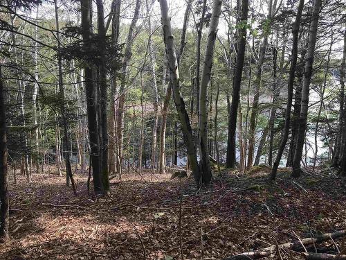 2 Acres Weymouth Falls Road, Weymouth Falls, NS 