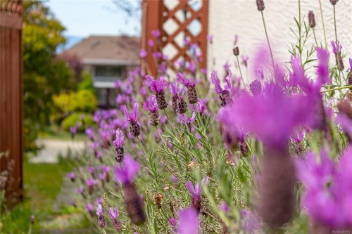 6573 Pelican Way, Nanaimo, BC 