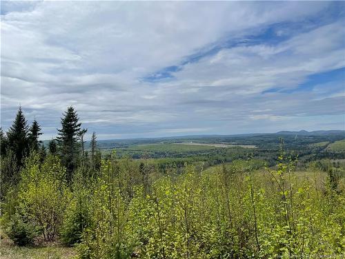Lot Howland Ridge Rd, Millville, NB 