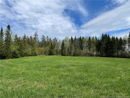 Lot Howland Ridge Rd, Millville, NB 