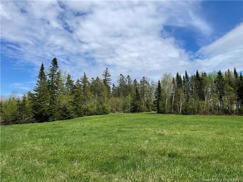 Lot Howland Ridge Rd, Millville, NB 