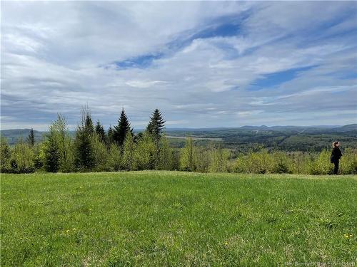 Lot Howland Ridge Rd, Millville, NB 