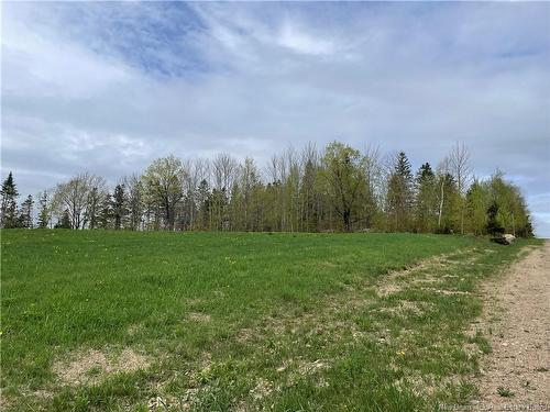 Lot Howland Ridge Rd, Millville, NB 