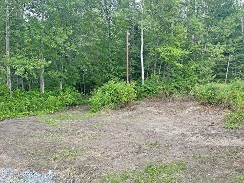 77 Brompton Road, Red Rock, ON - Outdoor