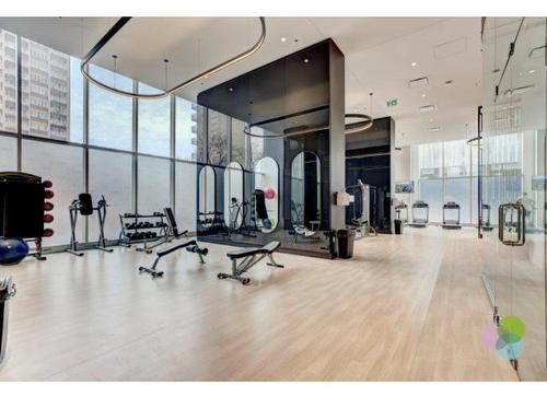 Exercise room - 213-2300 Rue Tupper, Montréal (Ville-Marie), QC - Indoor Photo Showing Gym Room
