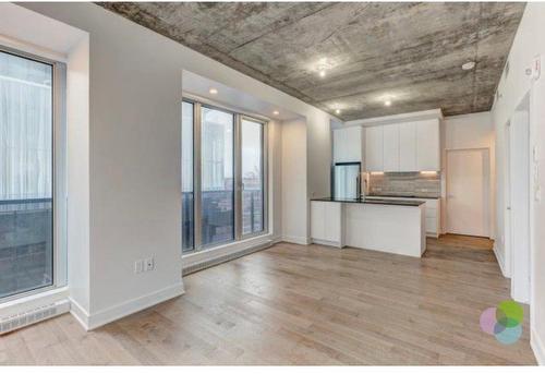 Vue d'ensemble - 213-2300 Rue Tupper, Montréal (Ville-Marie), QC - Indoor Photo Showing Kitchen