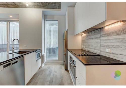 Cuisine - 213-2300 Rue Tupper, Montréal (Ville-Marie), QC - Indoor Photo Showing Kitchen With Upgraded Kitchen