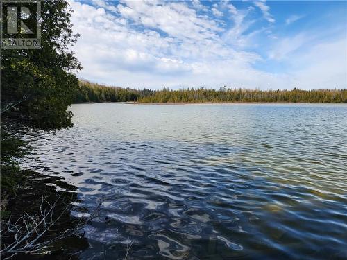 Lot 12 Con 1 Stone'S Lake, Mills Twp., Burpee And Mills, ON 