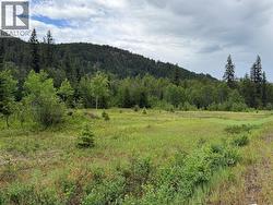 2128 Blackwater Road  Clearwater, BC V0E 1N0