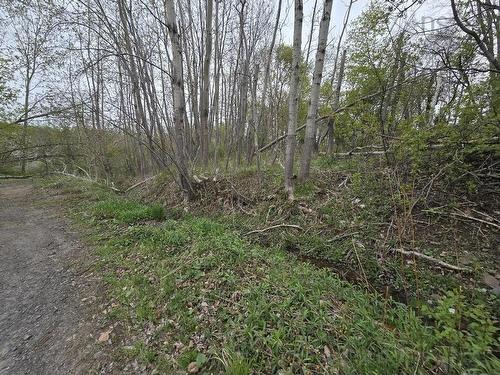 Double Lot 2 Brook Street, Trenton, NS 