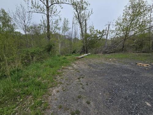 Lot 2 Brook Street, Trenton, NS 