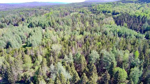 Terre/Terrain - Route 132 E., New Richmond, QC 