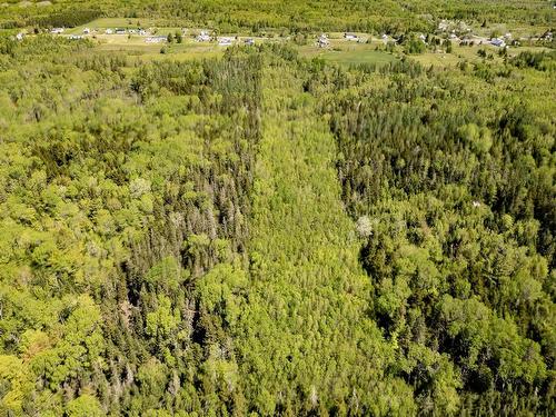 1430 Highway 242, River Hebert, NS 