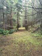 706 Fernhill Rd  Mayne Island, BC V0N 2J1