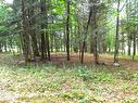 Land/Lot - 18 Ch. Dewar, Harrington, QC 