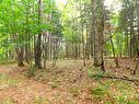 Land/Lot - 18 Ch. Dewar, Harrington, QC 