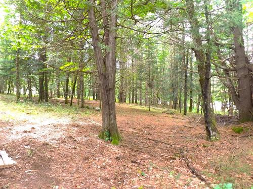 Land/Lot - 18 Ch. Dewar, Harrington, QC 
