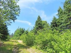 20 Acres Upper Grand Mira Road Upper Grand Mira, NS B1K 1M1