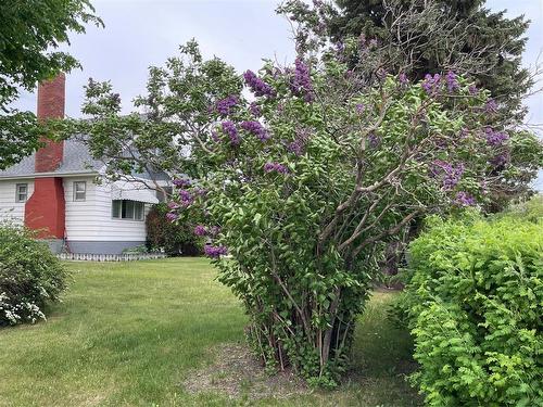 280 2Nd Avenue, Swan River, MB - Outdoor