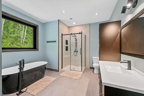 Ensuite bathroom - 139 Mtée Des Samares, Sainte-Agathe-Des-Monts, QC - Indoor Photo Showing Bathroom