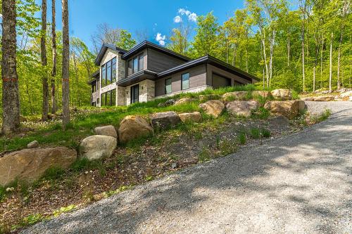 Frontage - 139 Mtée Des Samares, Sainte-Agathe-Des-Monts, QC - Outdoor