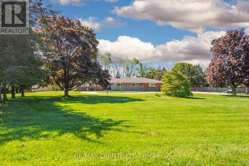 25 Singleton Street, Brighton, ON - Outdoor
