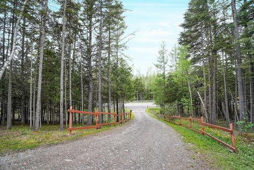 Extérieur - 790 Ch. De St-Edgar, New Richmond, QC - Outdoor With View