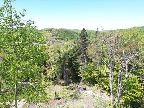 Terre/Terrain - Allée Du 5E, Mont-Blanc, QC 