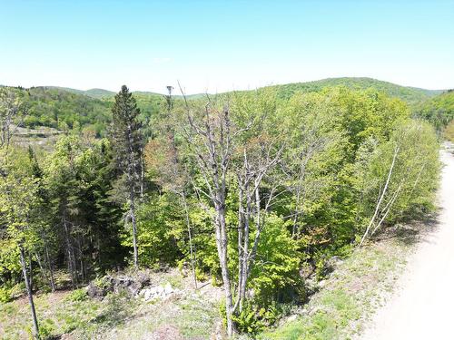 Terre/Terrain - Allée Du 5E, Mont-Blanc, QC 