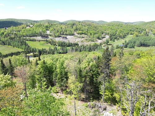 Vue - Allée Du 5E, Mont-Blanc, QC 