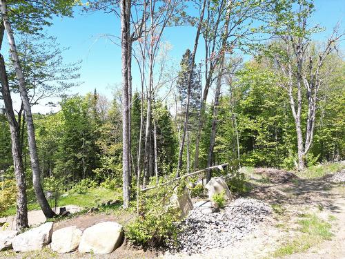 Terre/Terrain - Allée Du 5E, Mont-Blanc, QC 