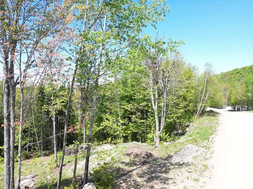 Terre/Terrain - Allée Du 5E, Mont-Blanc, QC 