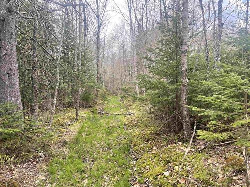 Lot Vb1 Camp Lake Drive, New Ross, NS 