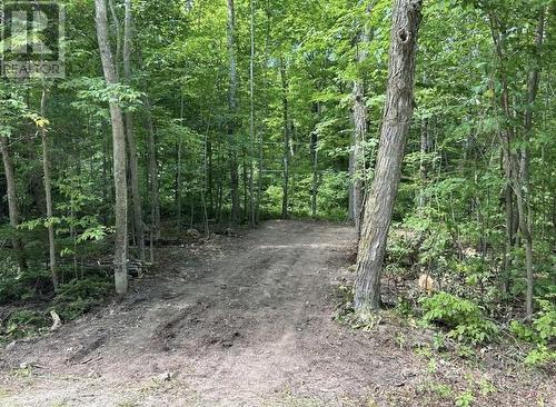 N/A Monument Road, Spring Bay, ON 