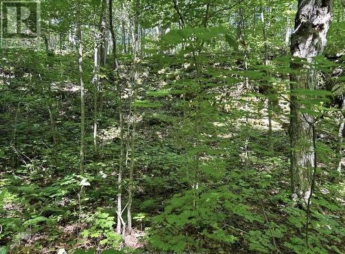 N/A Monument Road, Spring Bay, ON 